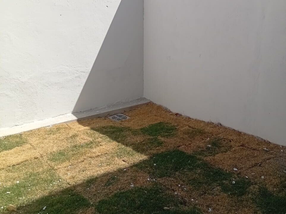 lelio Rio Branco RED2