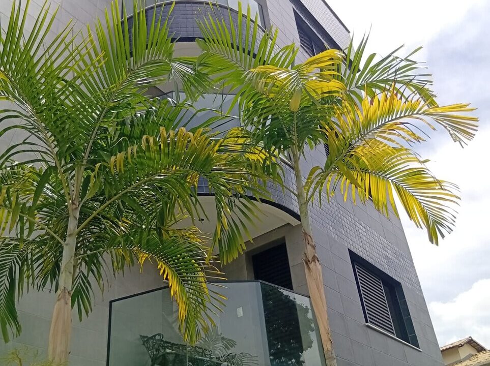 result_Cobertura JESUINO Itapoã2RED